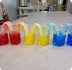 Experimento da água que caminha entre copos coloridos